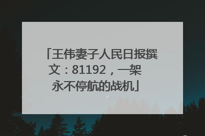 王伟妻子人民日报撰文：81192，一架永不停航的战机