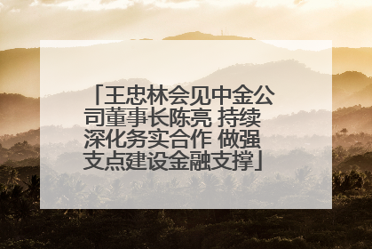 王忠林会见中金公司董事长陈亮 持续深化务实合作 做强支点建设金融支撑