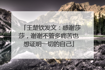 王楚钦发文：感谢莎莎，谢谢不管多痛苦也想证明一切的自己