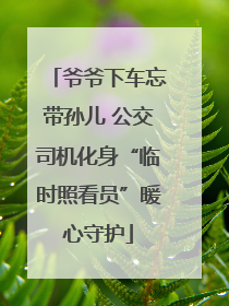爷爷下车忘带孙儿 公交司机化身“临时照看员”暖心守护