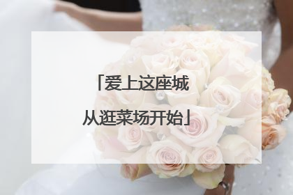 爱上这座城 从逛菜场开始
