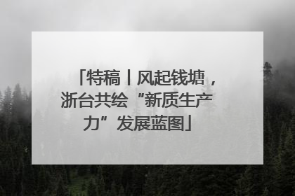 特稿丨风起钱塘，浙台共绘“新质生产力”发展蓝图