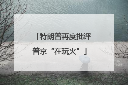 特朗普再度批评普京“在玩火”