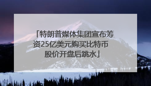 特朗普媒体集团宣布筹资25亿美元购买比特币 股价开盘后跳水