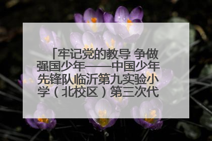 牢记党的教导 争做强国少年——中国少年先锋队临沂第九实验小学（北校区）第三次代表大会胜利召开