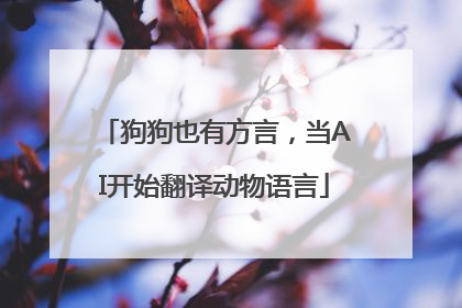 狗狗也有方言，当AI开始翻译动物语言