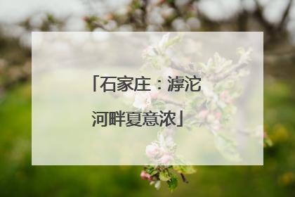 石家庄：滹沱河畔夏意浓