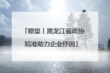 瞭望丨黑龙江省政协精准助力企业纾困