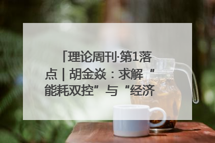 理论周刊·第1落点｜胡金焱：求解“能耗双控”与“经济增长”矛盾