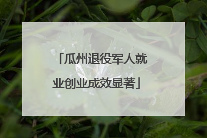 瓜州退役军人就业创业成效显著