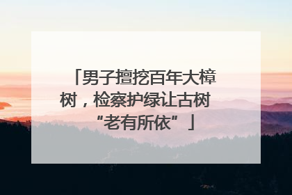 男子擅挖百年大樟树，检察护绿让古树“老有所依”
