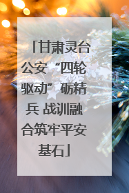 甘肃灵台公安“四轮驱动”砺精兵 战训融合筑牢平安基石