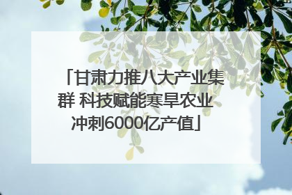 甘肃力推八大产业集群 科技赋能寒旱农业冲刺6000亿产值