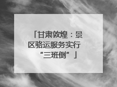 甘肃敦煌：景区骆运服务实行“三班倒”