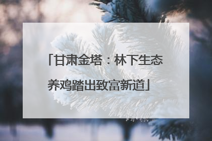 甘肃金塔：林下生态养鸡踏出致富新道
