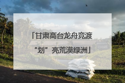 甘肃高台龙舟竞渡“划”亮荒漠绿洲