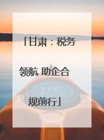 甘肃：税务领航 助企合规前行