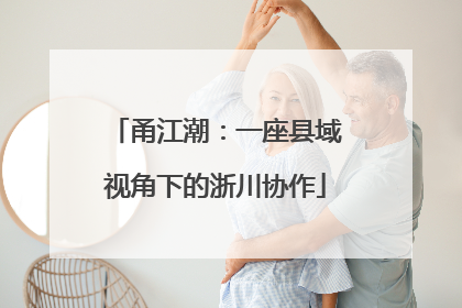 甬江潮：一座县域视角下的浙川协作