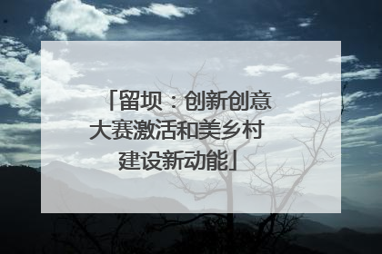 留坝：创新创意大赛激活和美乡村建设新动能