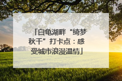 白龟湖畔“绮梦秋千”打卡点：感受城市浪漫温情