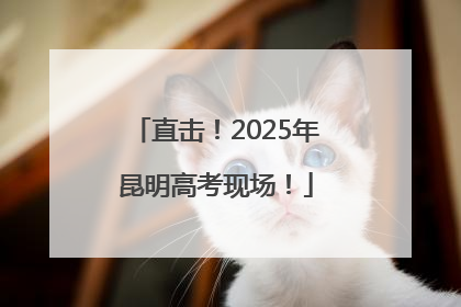 直击！2025年昆明高考现场！