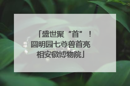 盛世聚“首”！圆明园七尊兽首亮相安徽博物院