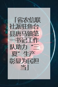 省农信联社派驻鱼台县唐马镇第一书记工作队助力“三夏”生产 彰显为民担当