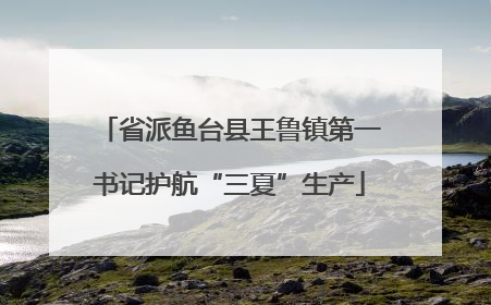 省派鱼台县王鲁镇第一书记护航“三夏”生产