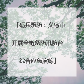 砺兵筑防：义乌市开展全链条防汛防台综合应急演练