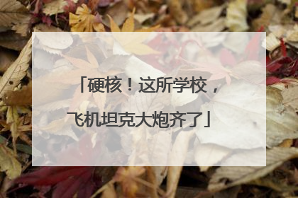 硬核！这所学校，飞机坦克大炮齐了