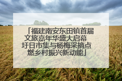 福建南安东田镇首届文旅嘉年华盛大启幕 圩日市集与杨梅采摘点燃乡村振兴新动能