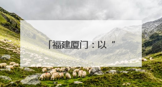 福建厦门：以“数”换“金”