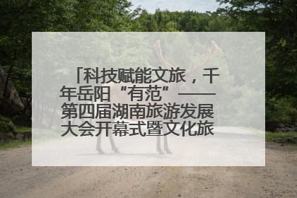科技赋能文旅，千年岳阳“有范”——第四届湖南旅游发展大会开幕式暨文化旅游推介会侧记