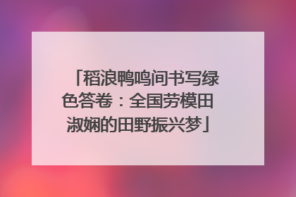 稻浪鸭鸣间书写绿色答卷：全国劳模田淑娴的田野振兴梦
