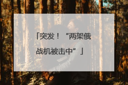 突发！“两架俄战机被击中”