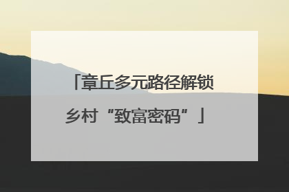 章丘多元路径解锁乡村“致富密码”