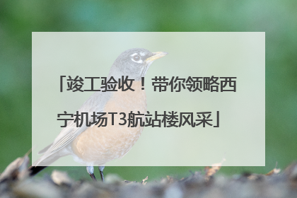 竣工验收！带你领略西宁机场T3航站楼风采