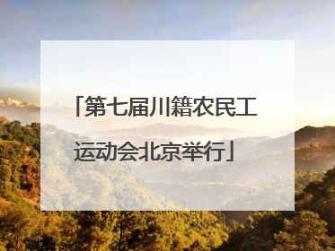 第七届川籍农民工运动会北京举行