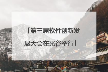 第三届软件创新发展大会在光谷举行