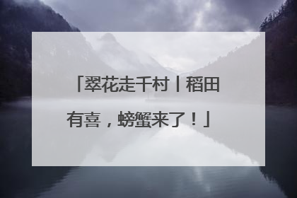 翠花走千村丨稻田有喜，螃蟹来了！