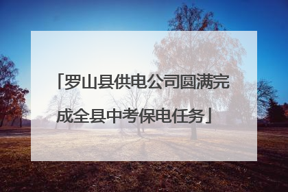 罗山县供电公司圆满完成全县中考保电任务