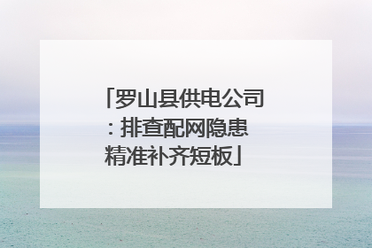 罗山县供电公司：排查配网隐患 精准补齐短板