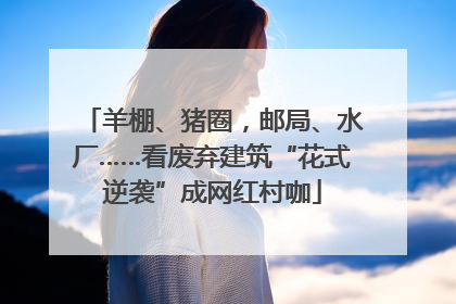 羊棚、猪圈，邮局、水厂……看废弃建筑“花式逆袭”成网红村咖