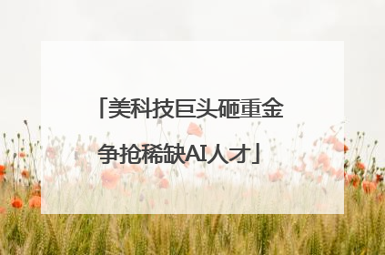 美科技巨头砸重金争抢稀缺AI人才