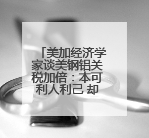 美加经济学家谈美钢铝关税加倍：本可利人利己 却选择害人害己