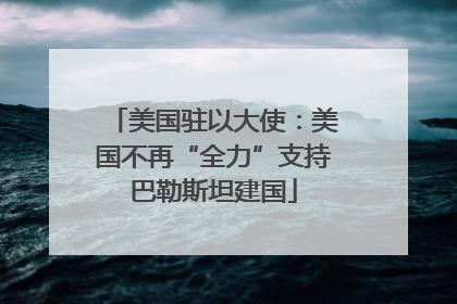 美国驻以大使：美国不再“全力”支持巴勒斯坦建国
