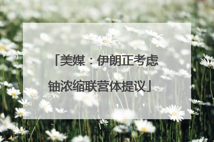 美媒：伊朗正考虑铀浓缩联营体提议