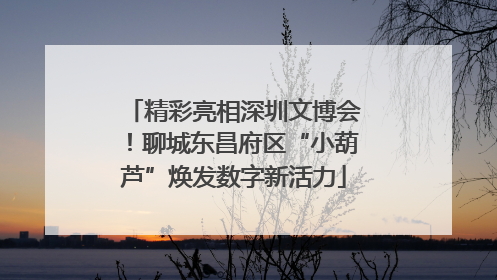 精彩亮相深圳文博会！聊城东昌府区“小葫芦”焕发数字新活力