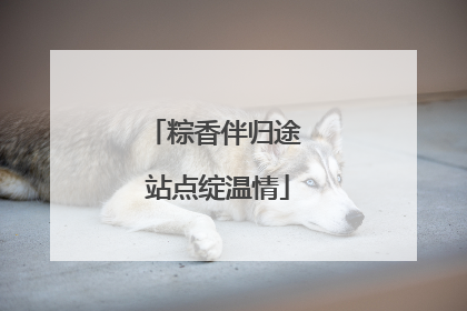 粽香伴归途 站点绽温情