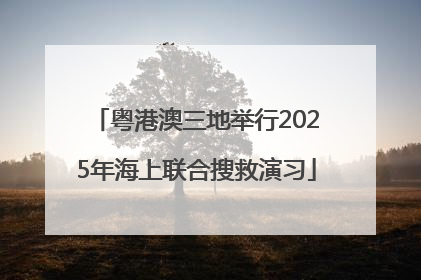 粤港澳三地举行2025年海上联合搜救演习